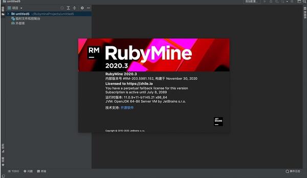 JetBrains RubyMine 2021.3.3 �����ƽ��