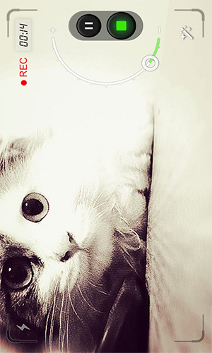 啪啪奇视频编辑下载