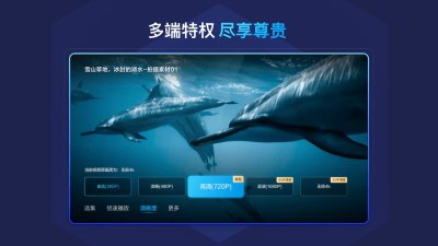百度网盘TV版APK