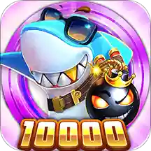 ������������(�����������)