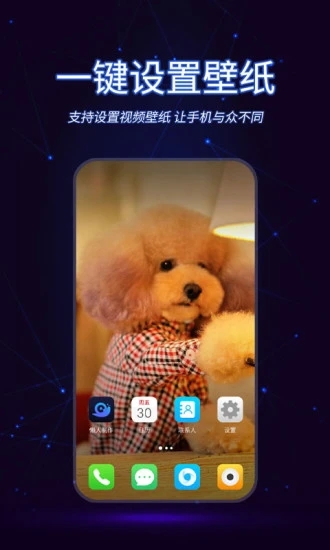 ������Ƶ����(��������)