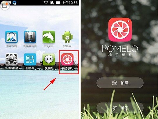 �������POMELO