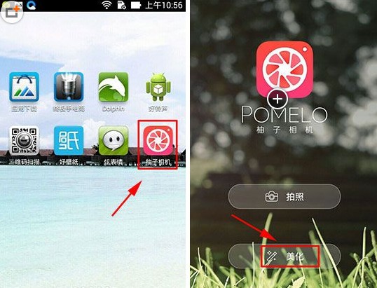 �������POMELO