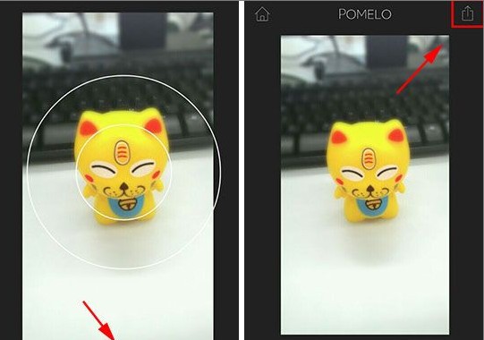 �������POMELO