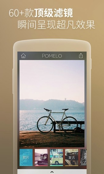 �������POMELO