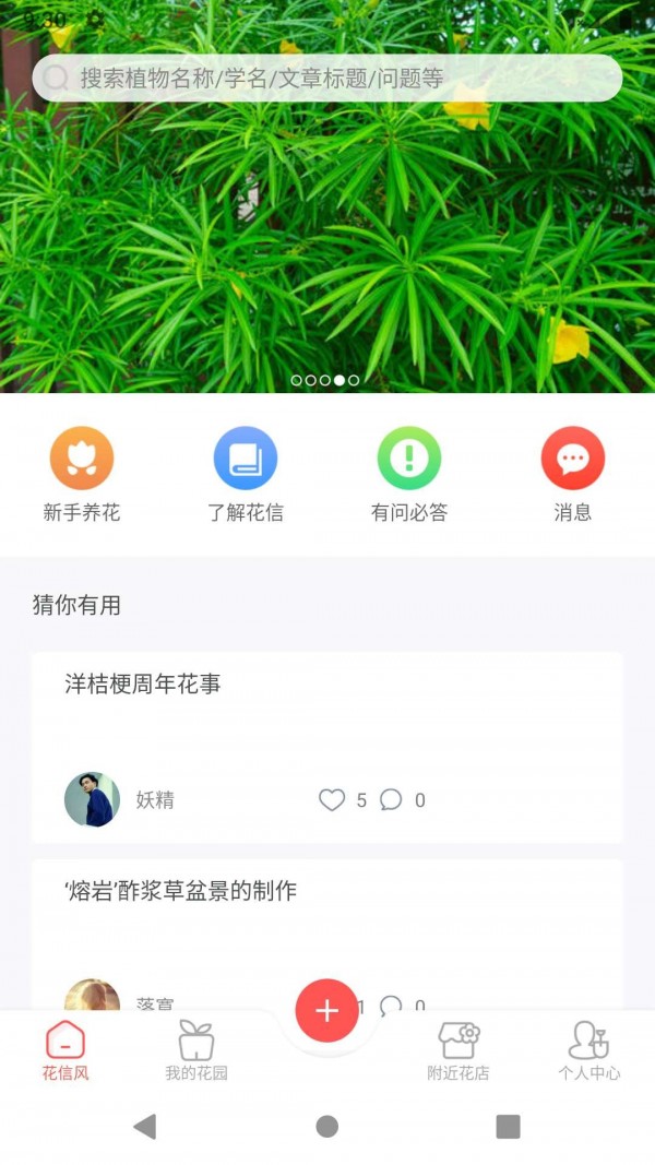 花信APP