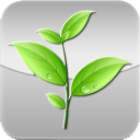 �����ĸ���������