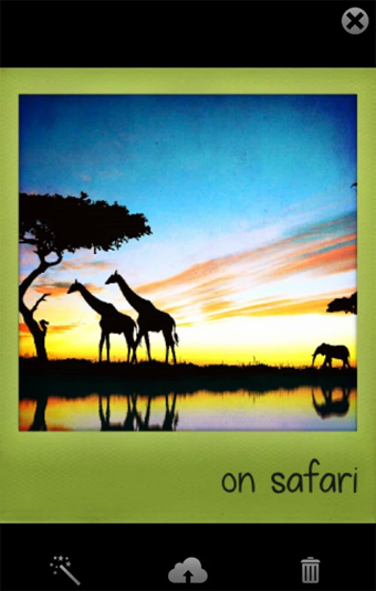 宝丽来相机(Polamatic)