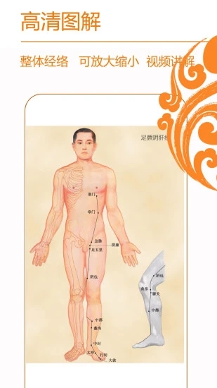 经络养生(人体穴位大全)