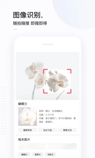 简单搜索(永无广告)