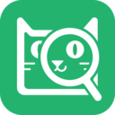 企查猫企业查询 V4.9.8安卓版