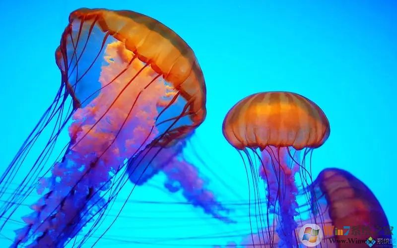 Win10ˮĸ����[����]