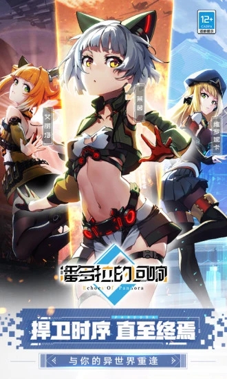 �˶����Ļ���