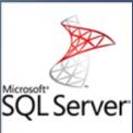 Microsoft SQL Server 2019 Developer�������İ�
