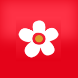 布米米动漫 安卓版v4.0