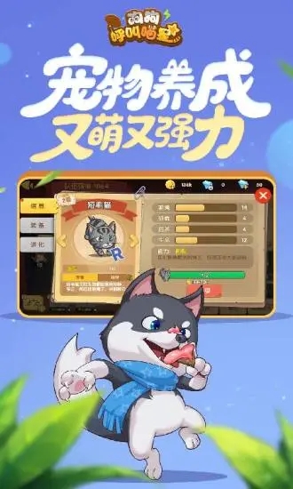 ����������������