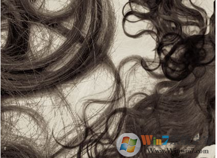 PSͷ����ˢ���(hair brush)