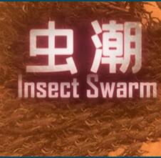 steam�泱�޸���