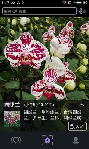 ֲ������ʶ��