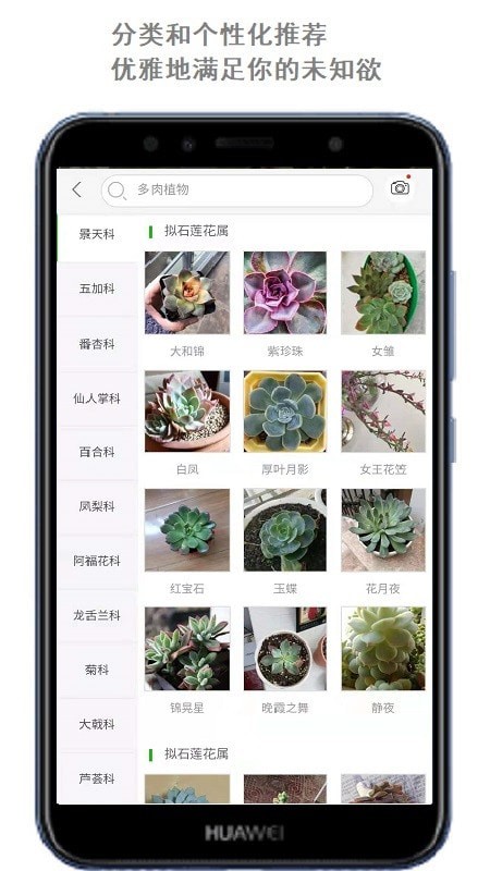 智能拍照识物APP
