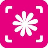 智能拍照识物APP