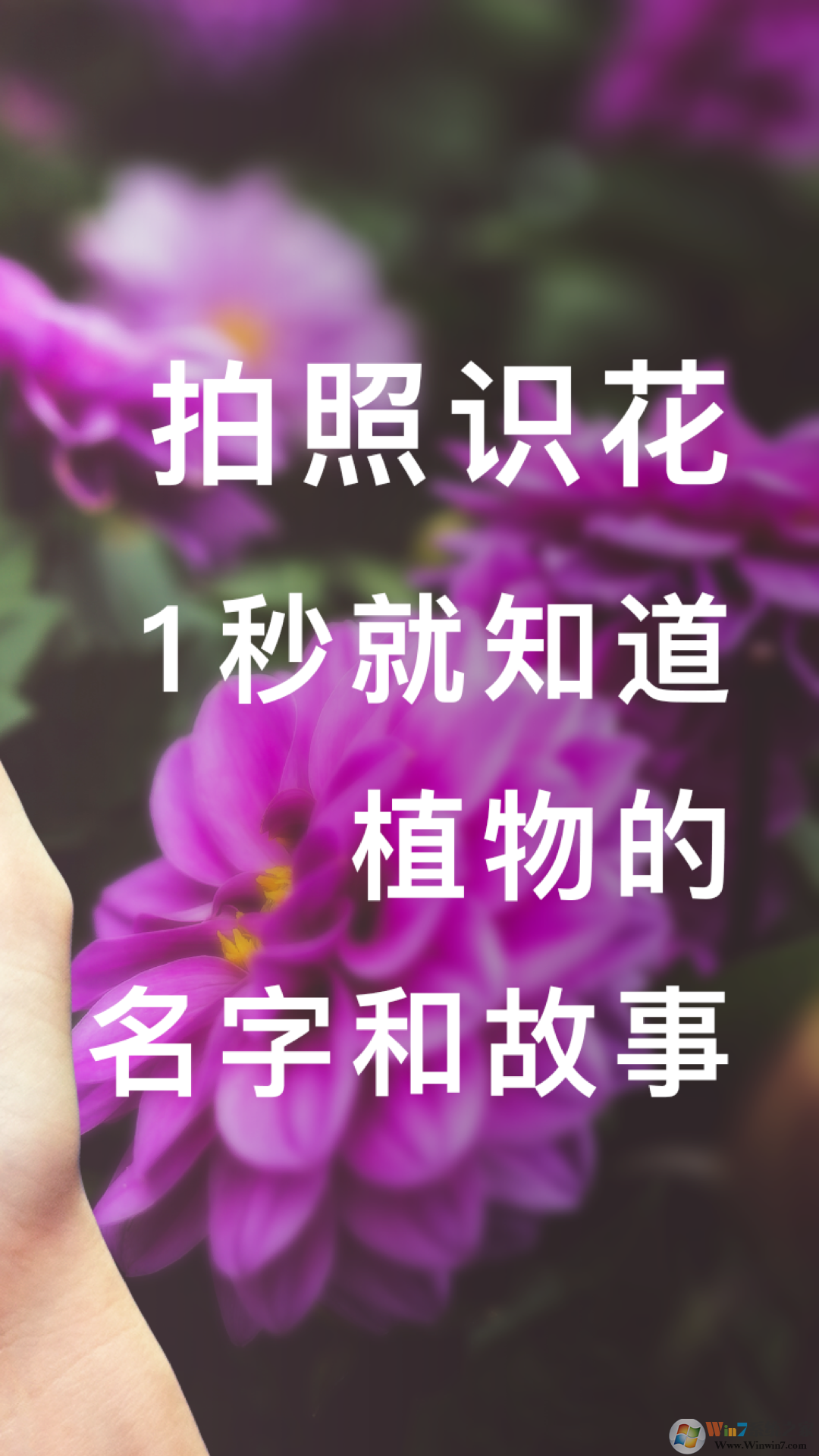 形色APP2022最新版