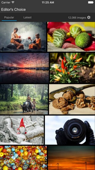 pixabay 免费图片