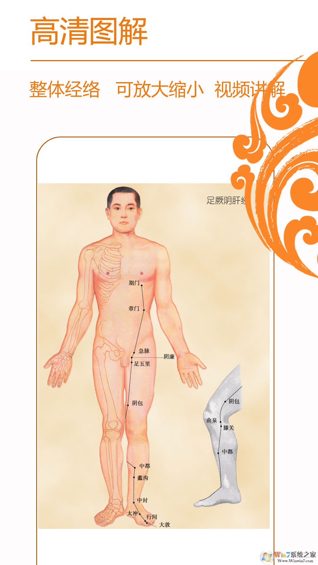 经络养生(中医穴位大全)