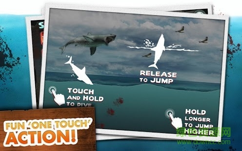 ��������������ʯ