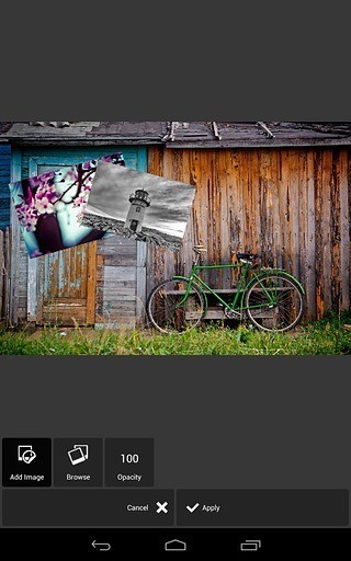 pixlr照片处理软件 pixlr照片处理安卓版