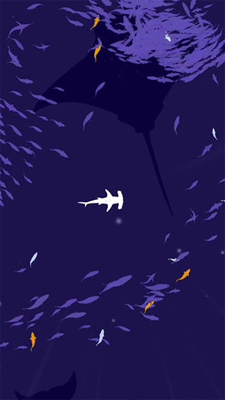 ���Ⱥ�ֻ���