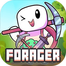 �����������İ�