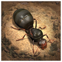 СС�Ϲ��ٷ���