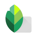 ָ����ͼPͼAPP