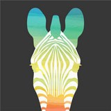 趣行斑马app v1.1.0安卓版