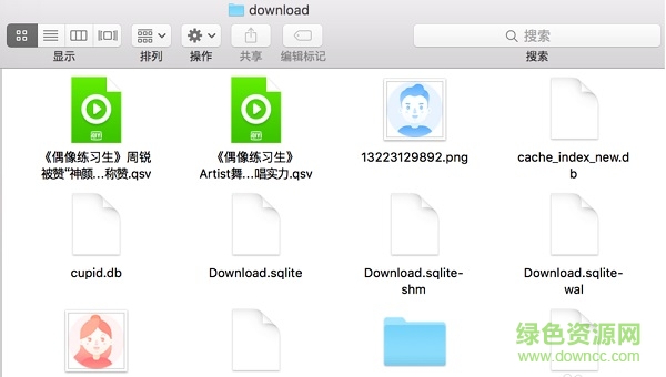 ��������Ƶmac���԰�