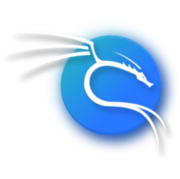 kali linuxtϵͳ����