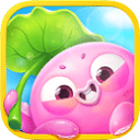 �����������ƽ��