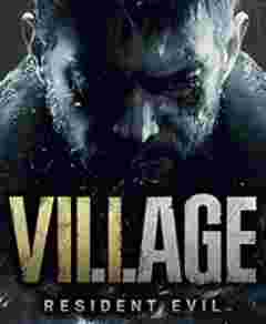 生化危机8村庄23项游戏修改器