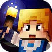 �̿�����