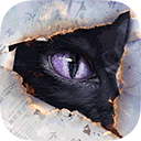 ��è�������ƽ��������ʯ