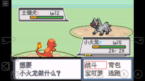 �ڴ����ְ׽��2�ƽ��