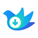 云雀idm网页视频下载器 v16.60免费版