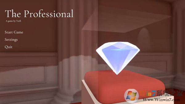 The Professional���°� PC�ⰲװ��