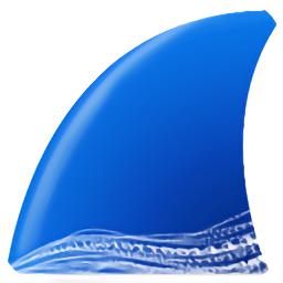 ץ������wireshark