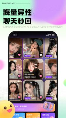 龙猫交友客户端