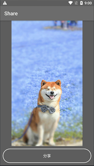 ����ͼ��ͼAPP