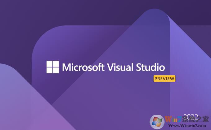 Visual Studio 2022 ��ҵ��/רҵ��/������(��������)