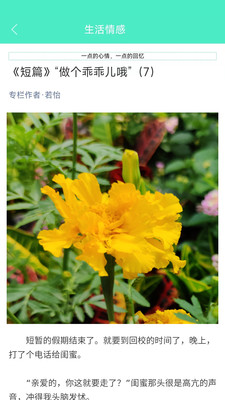 ��������APP����