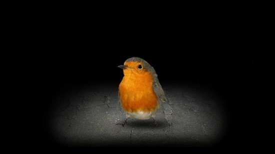 mitoza��Ϸ����